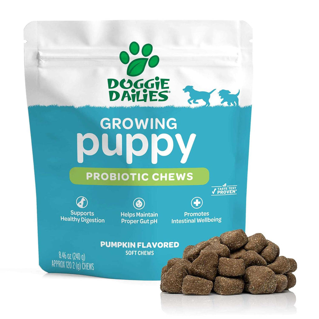 Puppy Probiotic with Digestive Enzymes G6748