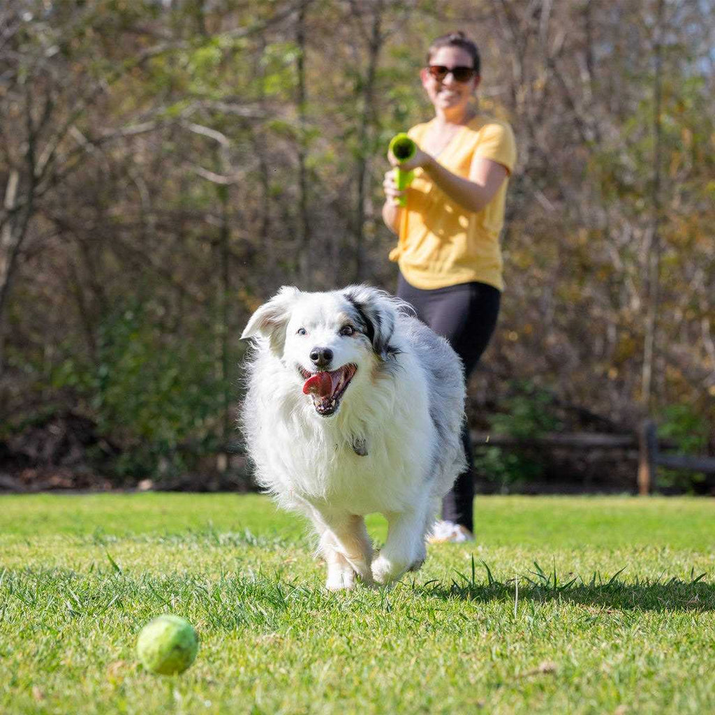 K9 Ball Launcher R630669