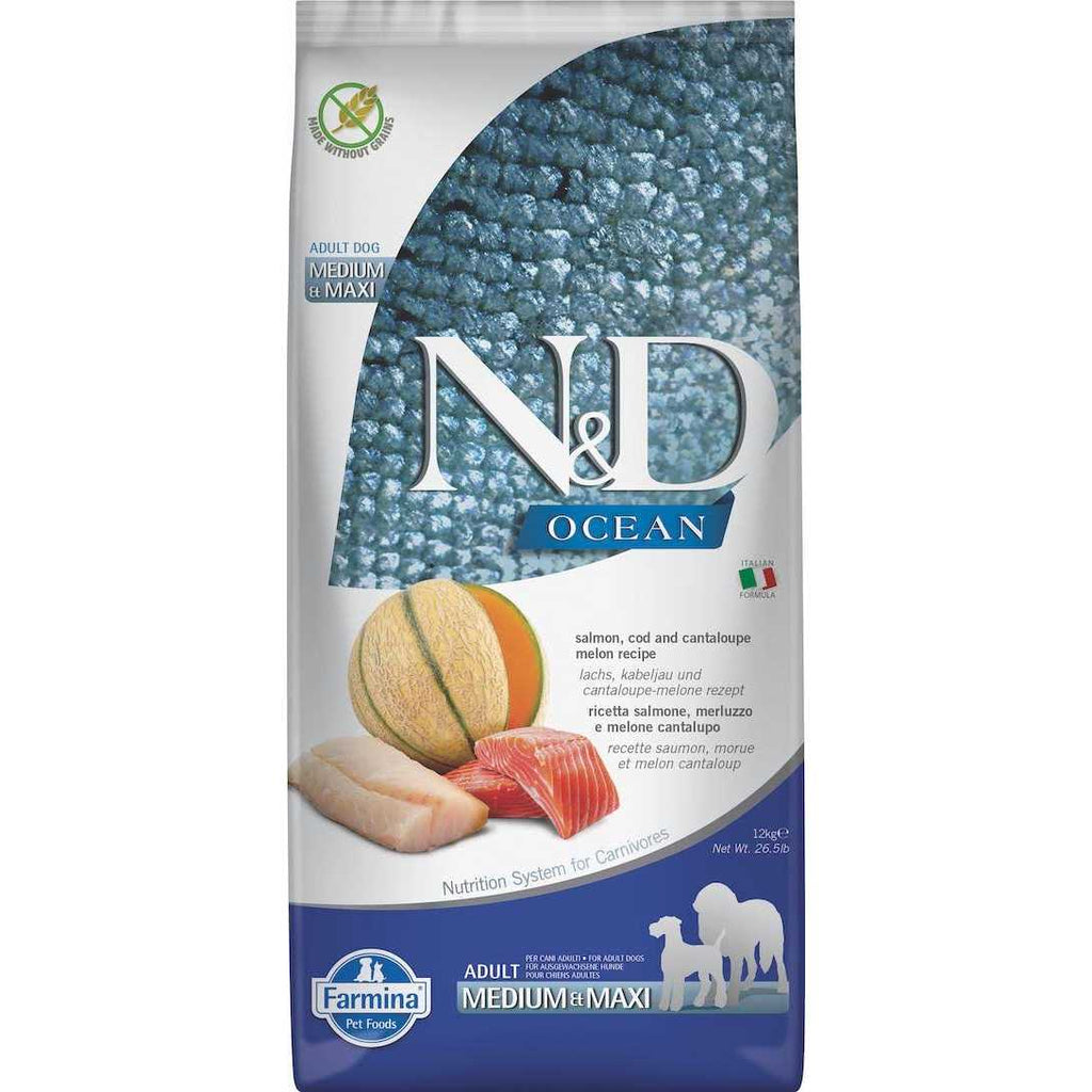 Pumpkin Boar & Apple Adult Dog Dry Food U868