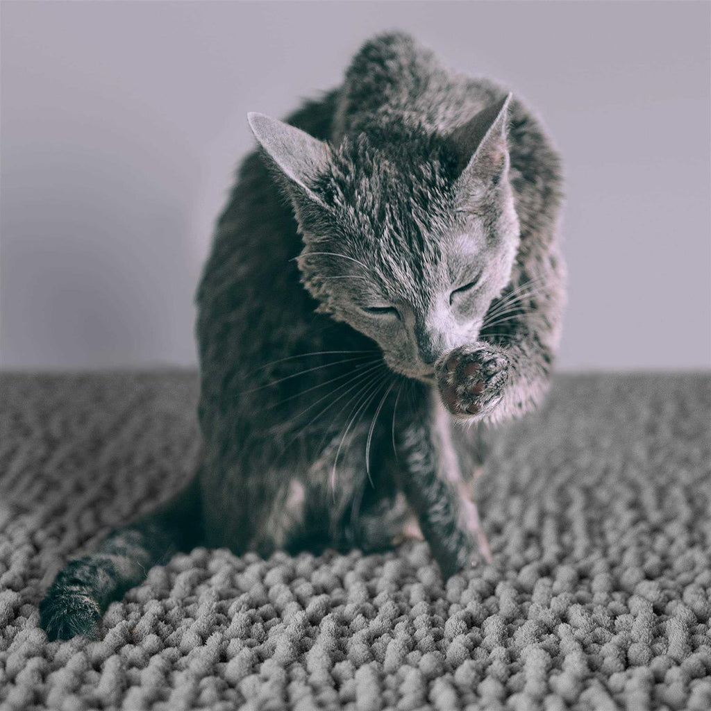 Waterproof Cat Litter Mat P45420