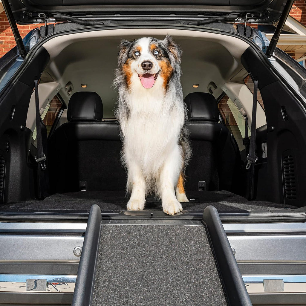 62 Inch Portable Folding Pet Ramp N84978
