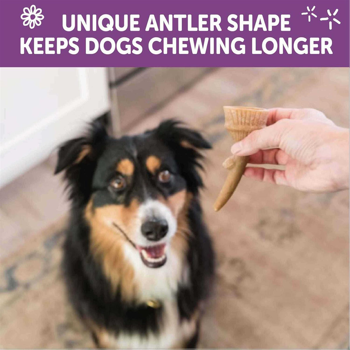 Dog Chews Value Bag F7469