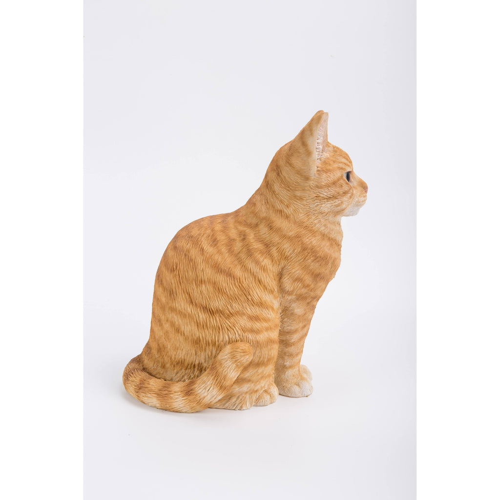Orange Tabby Cat Sitting Q8547