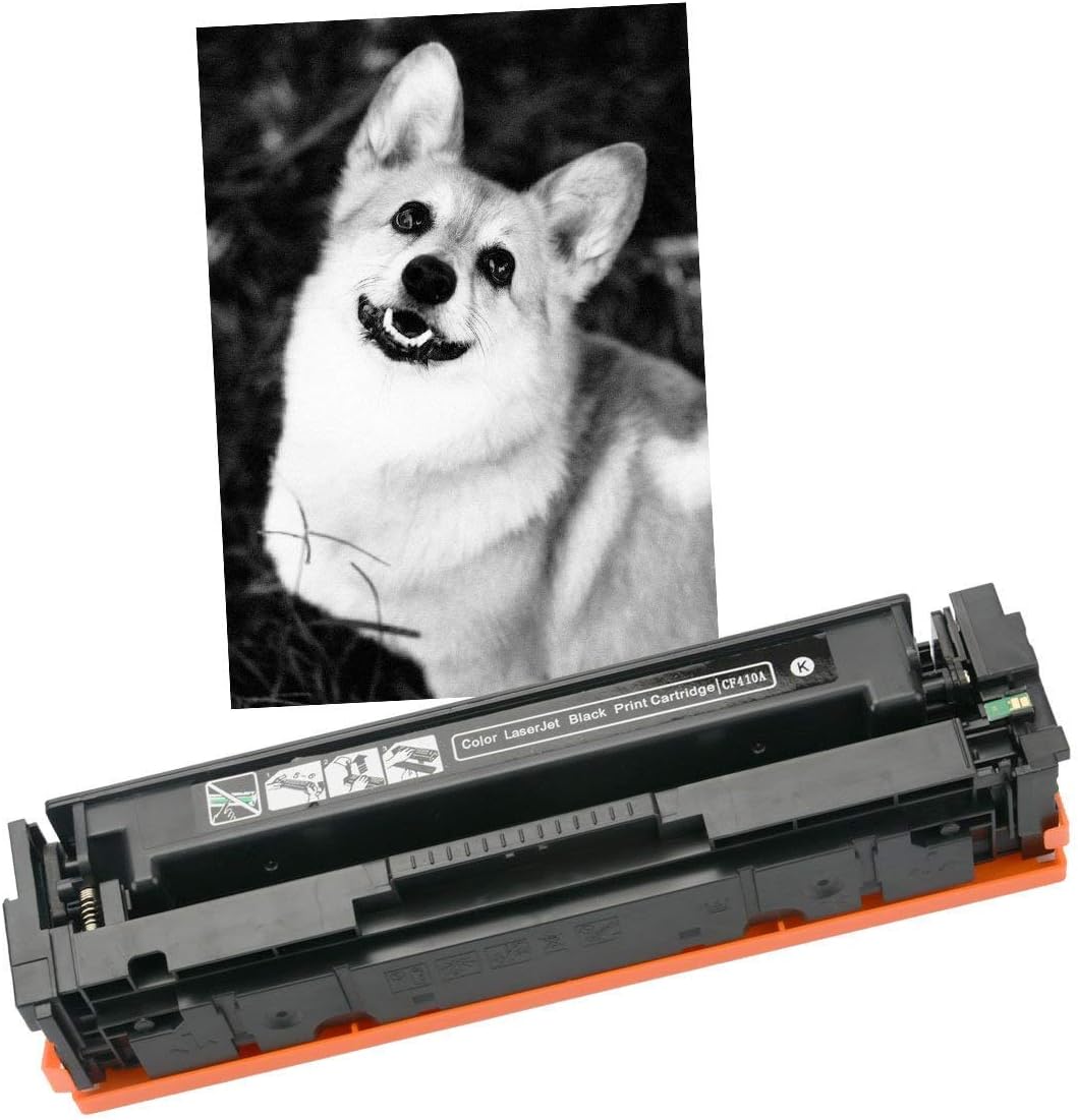 2 Pack Black Compatible Toner Cartridges S372286