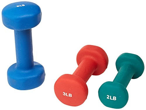 Neoprene Dumbbell Set with Case L584