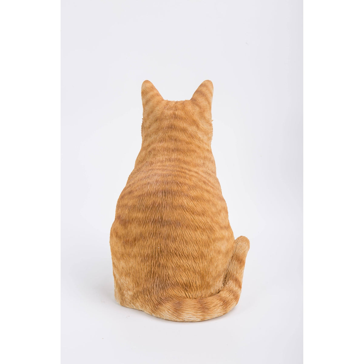 Orange Tabby Cat Sitting Q8547