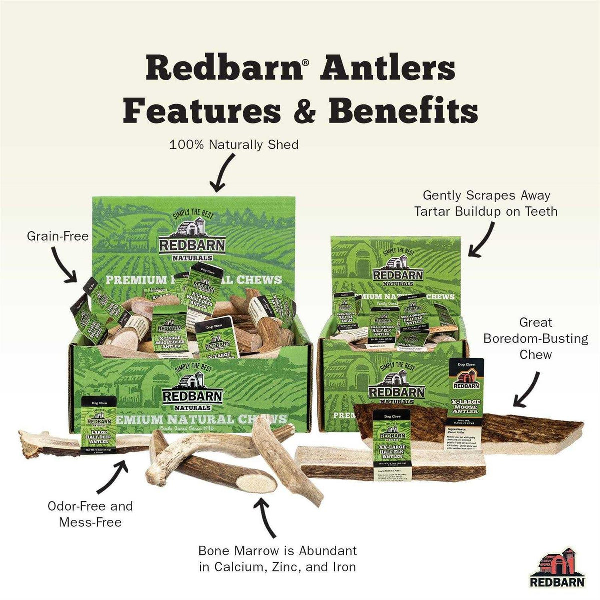Deer Antler W618579