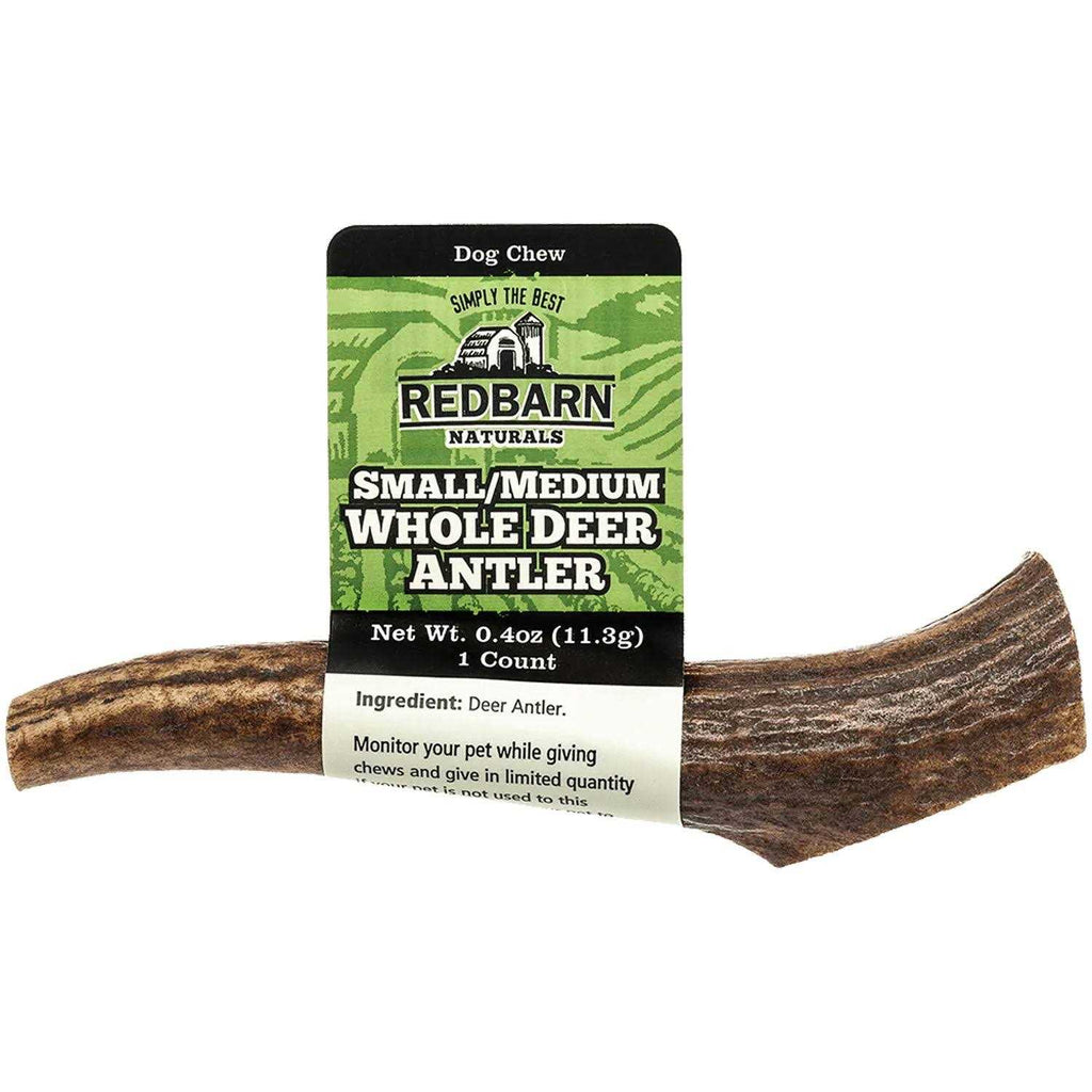 Deer Antler W618579