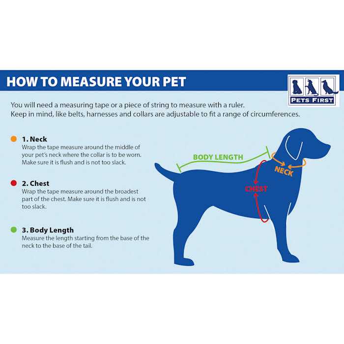 Dog Collar K57521