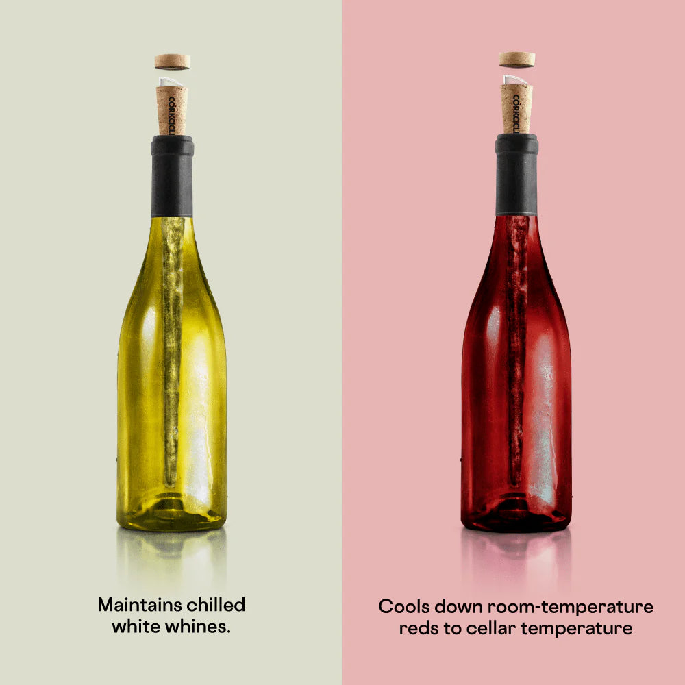 4-in-1 Wine Chiller, Aerator, Pourer, and Stopper P274601