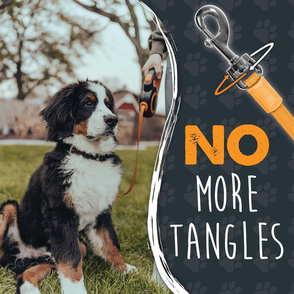Retractable Dog Leash F704166