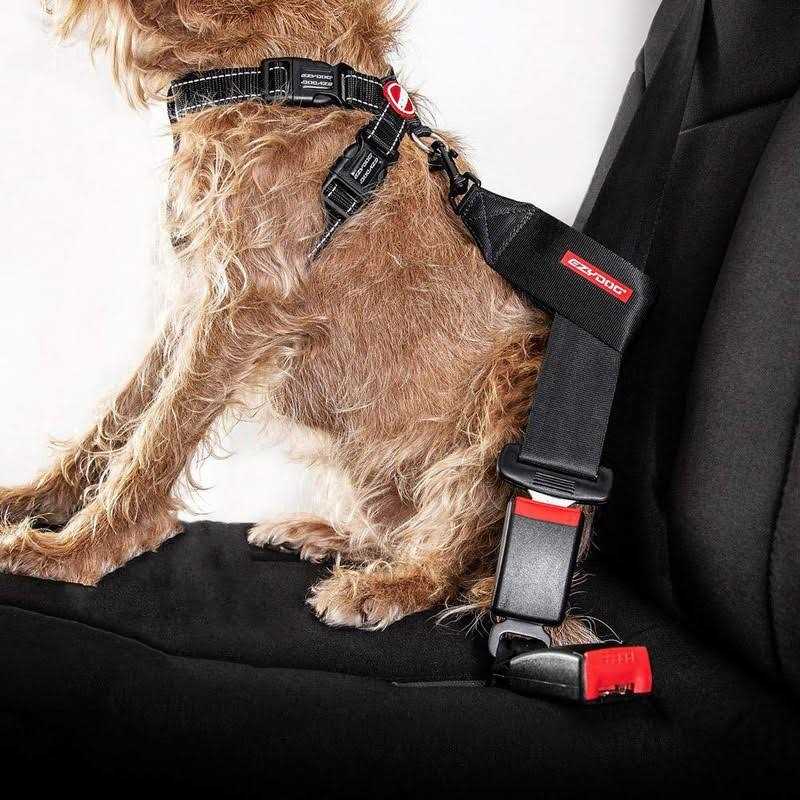 Seat Belt Restraint T493