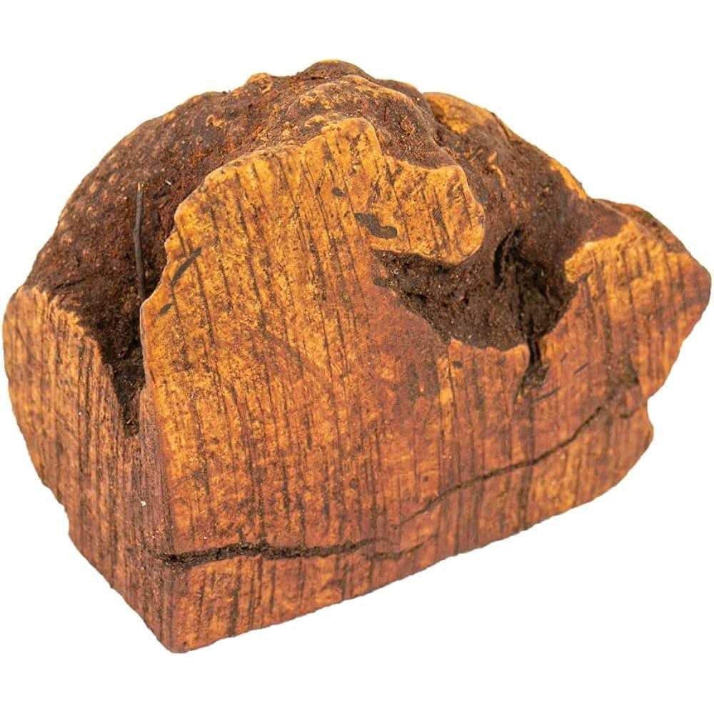 Chew Root for Dogs L286867