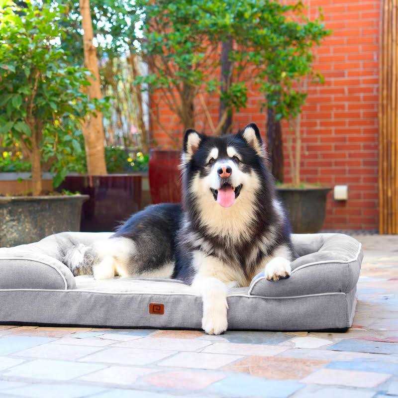 Orthopedic Egg Foam Dog Bed with Removable Washable Cover U31637