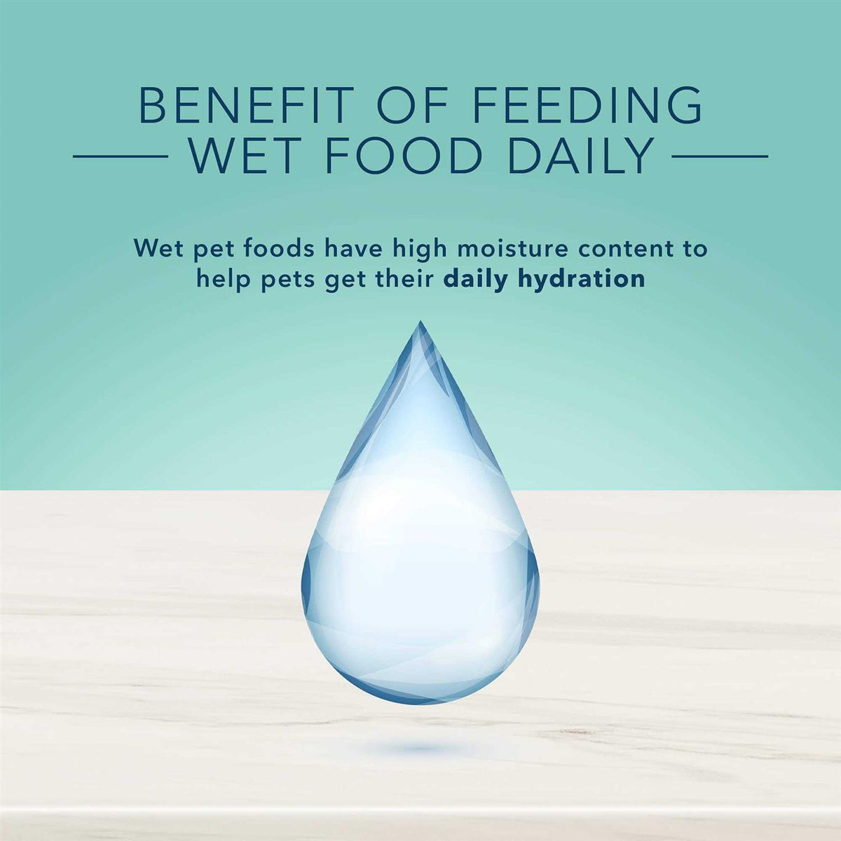 Natural Small Breed Adult Wet Dog Food W7109