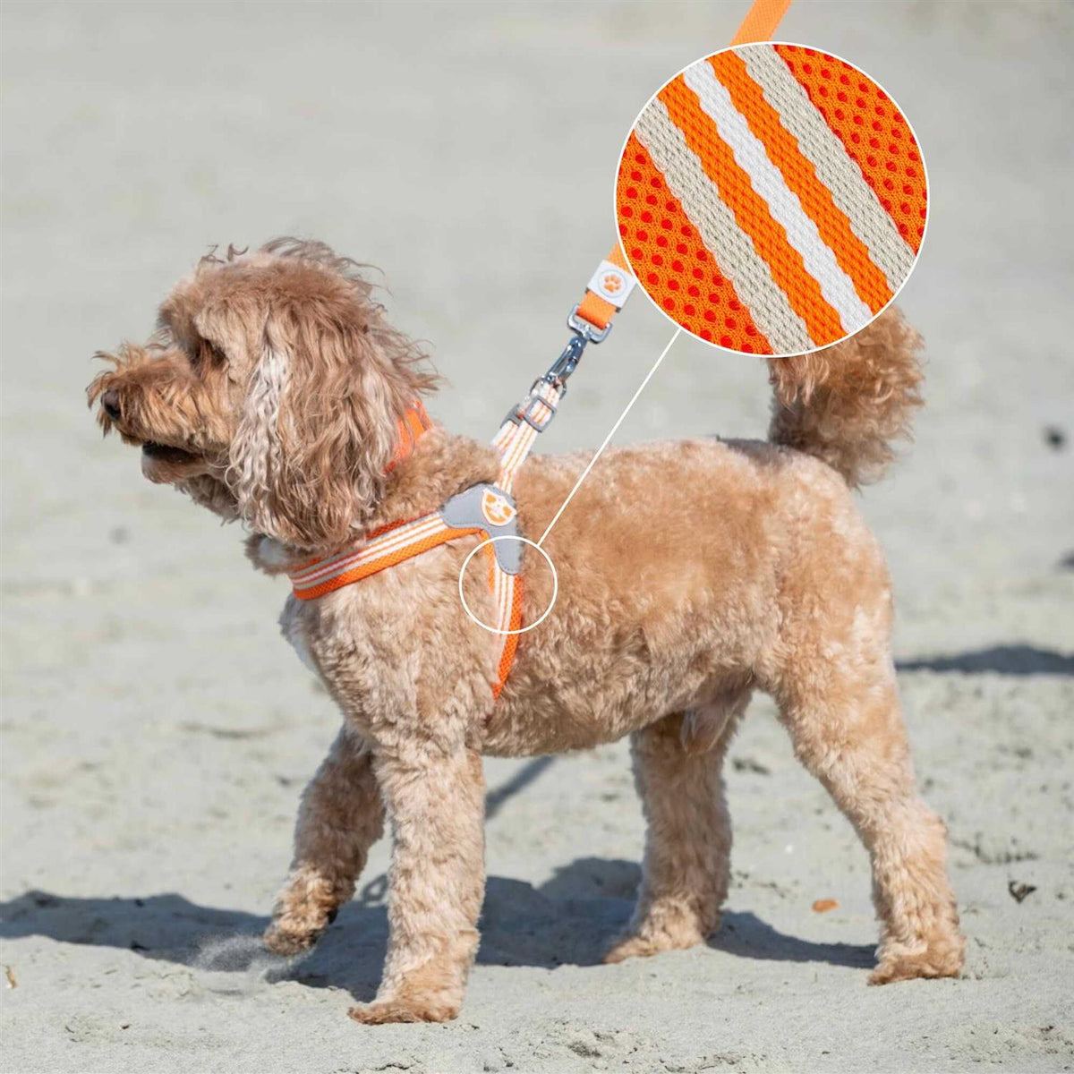 Dog Harness N30827