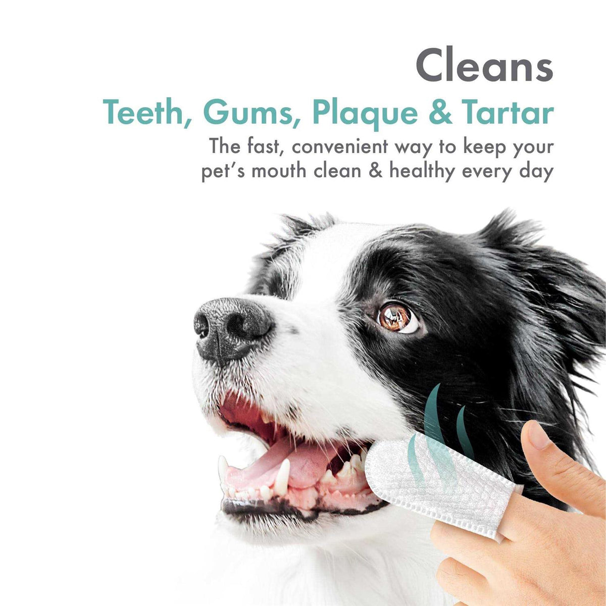 Fingertip Tooth Wipes for Dogs and Cats 50 Finger Wipes V149335