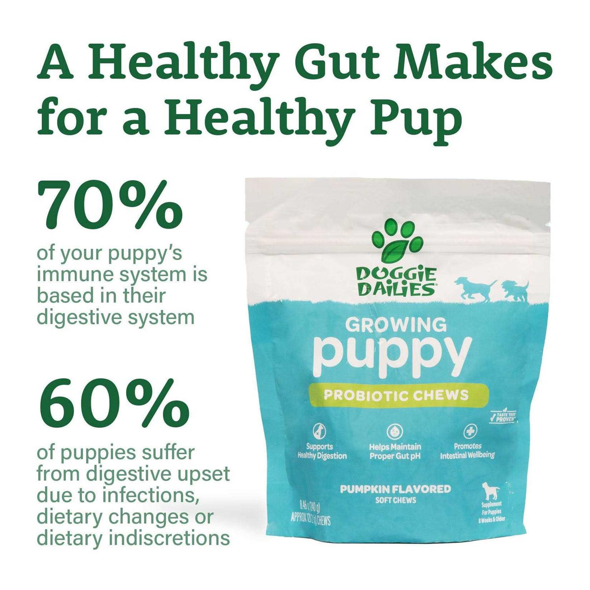 Puppy Probiotic with Digestive Enzymes G6748