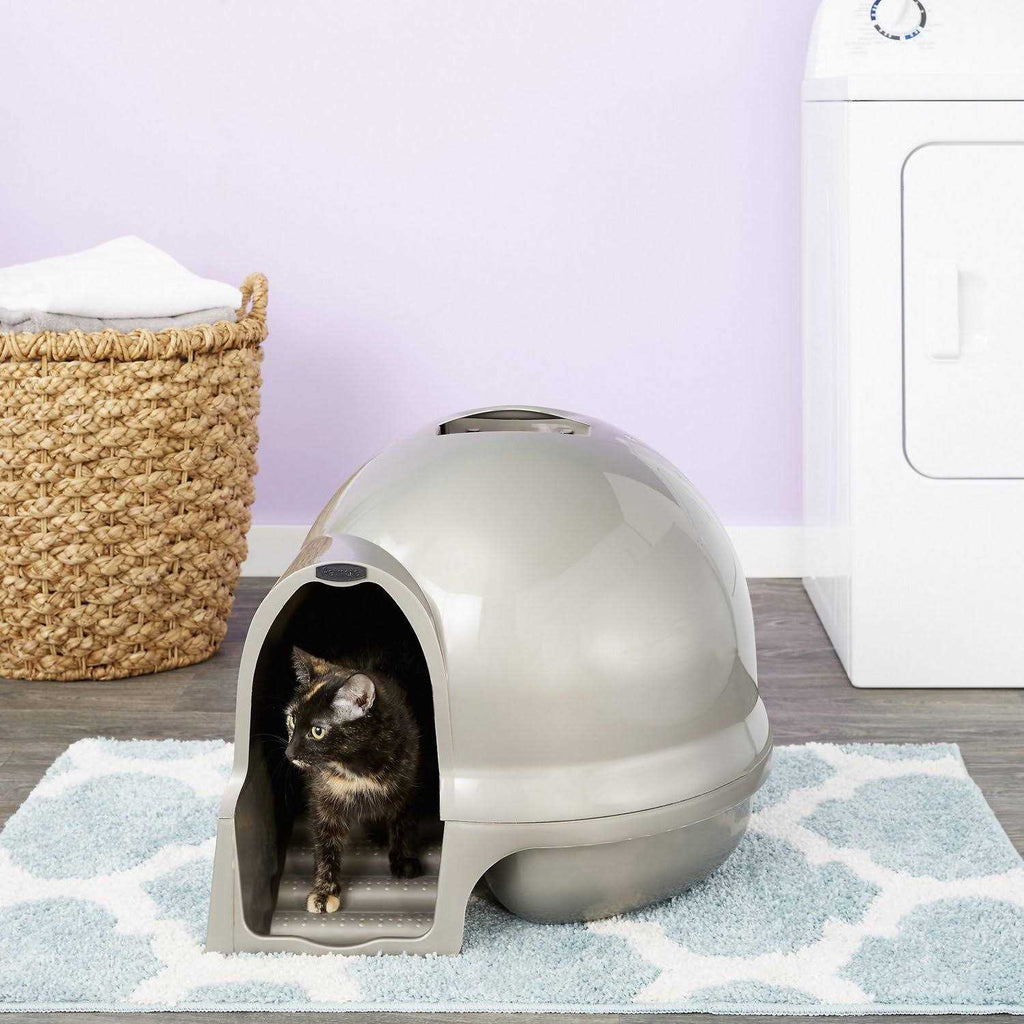 Litter Box R5343