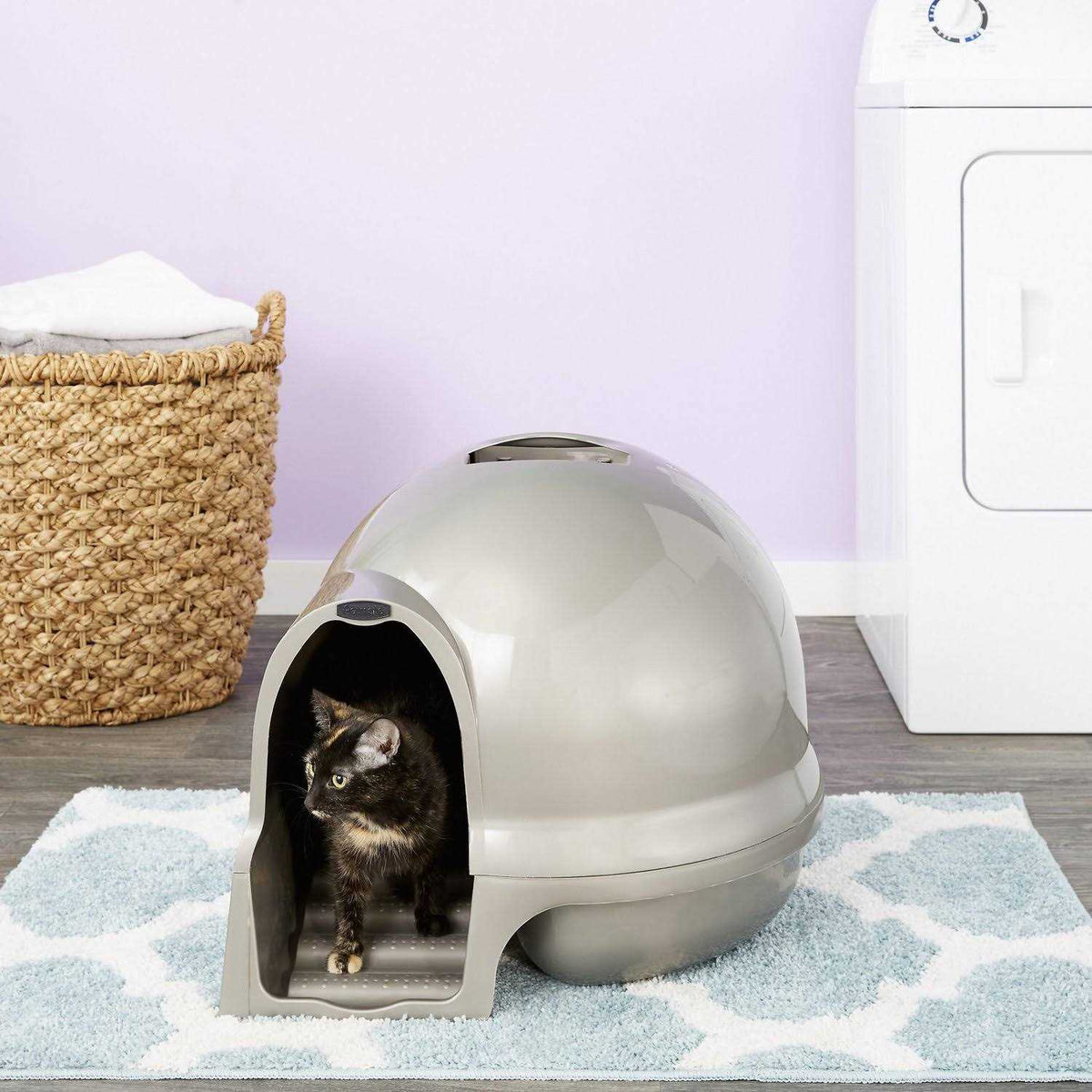 Litter Box R5343