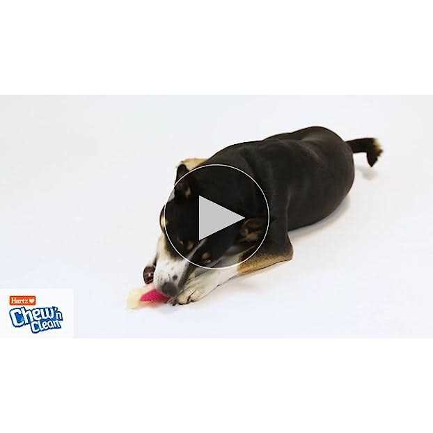 Dog Chew Toy Treat F31701