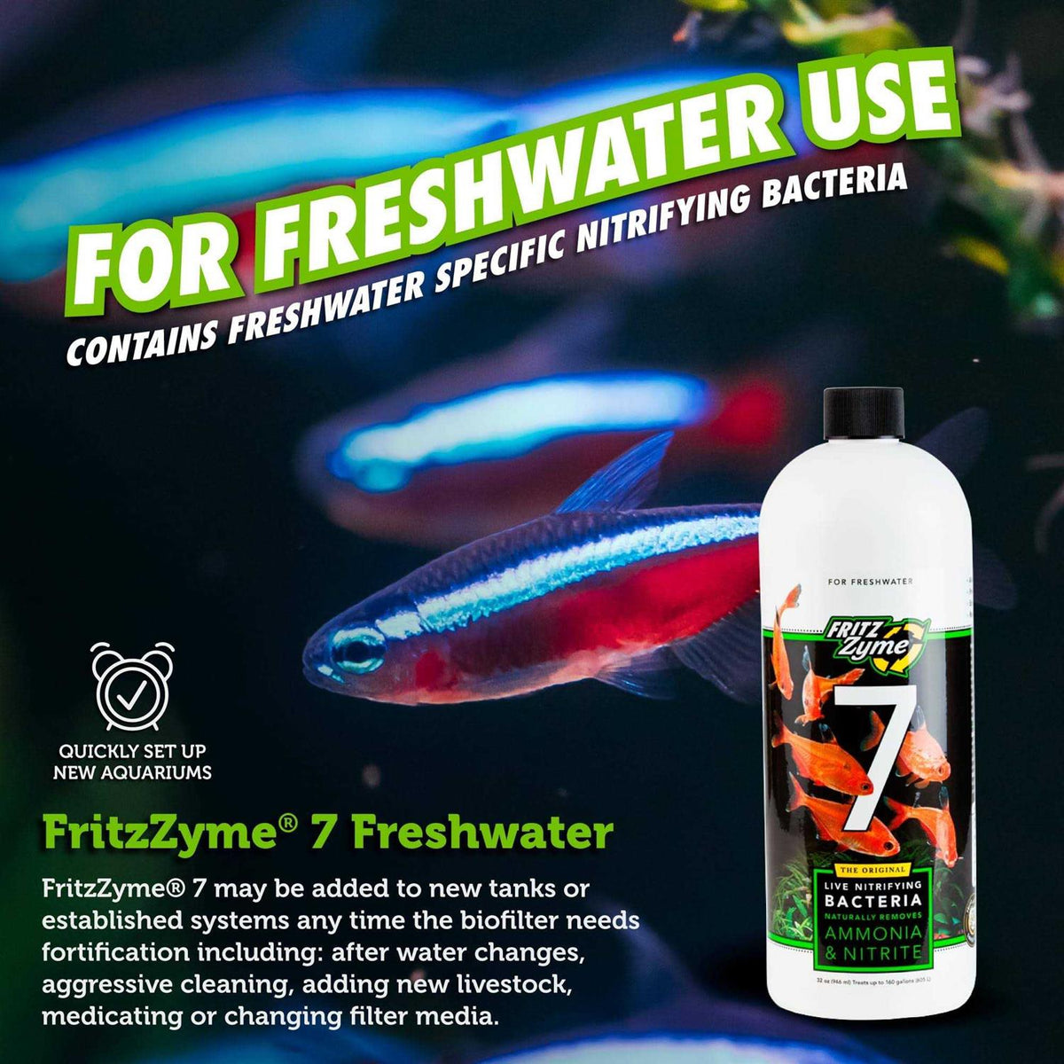 Freshwater Nitrifying Bacteria W3342