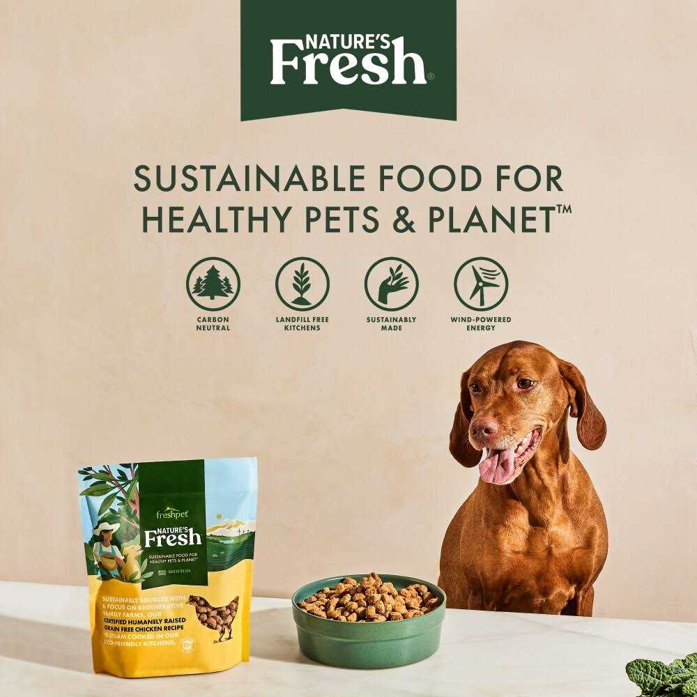 Grain Free Chicken Recipe Dog Food W500940