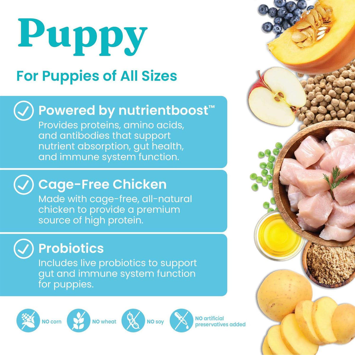 Solid Gold Chicken Dry Dog Food B337851