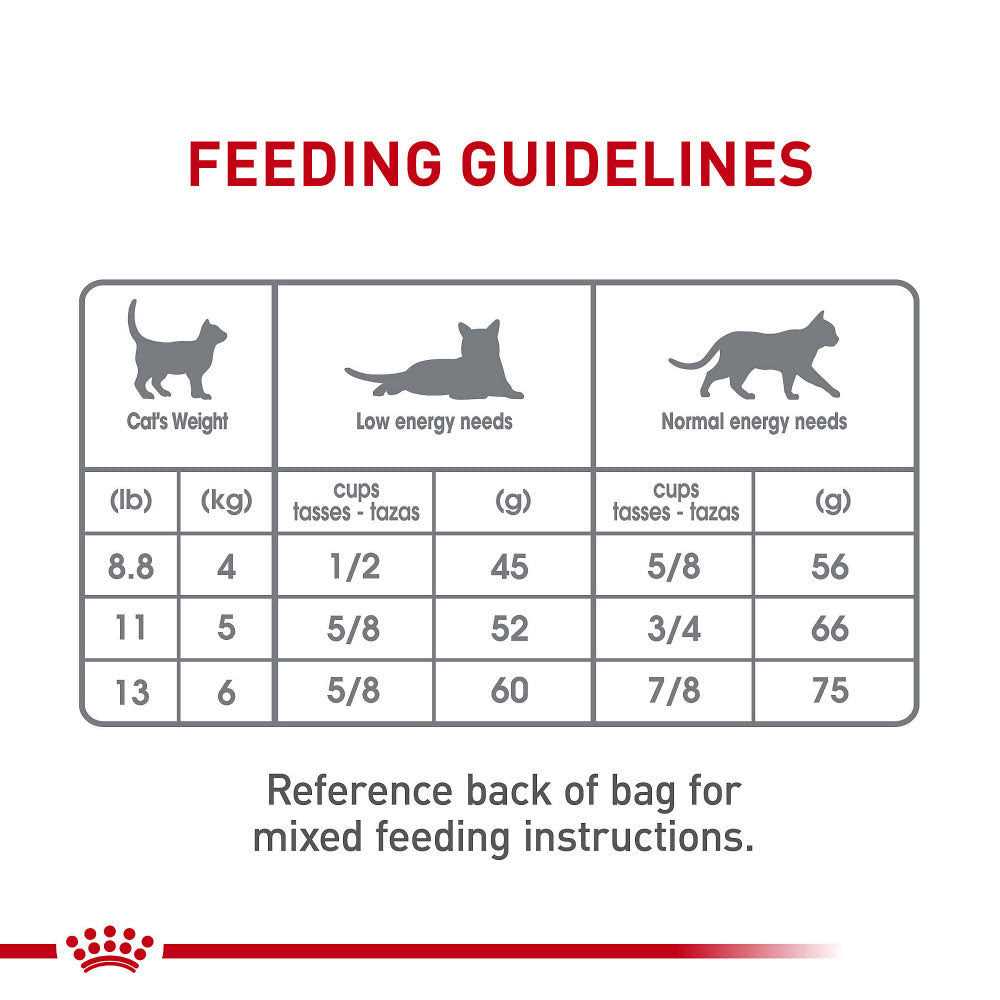 Dry Cat Food X673