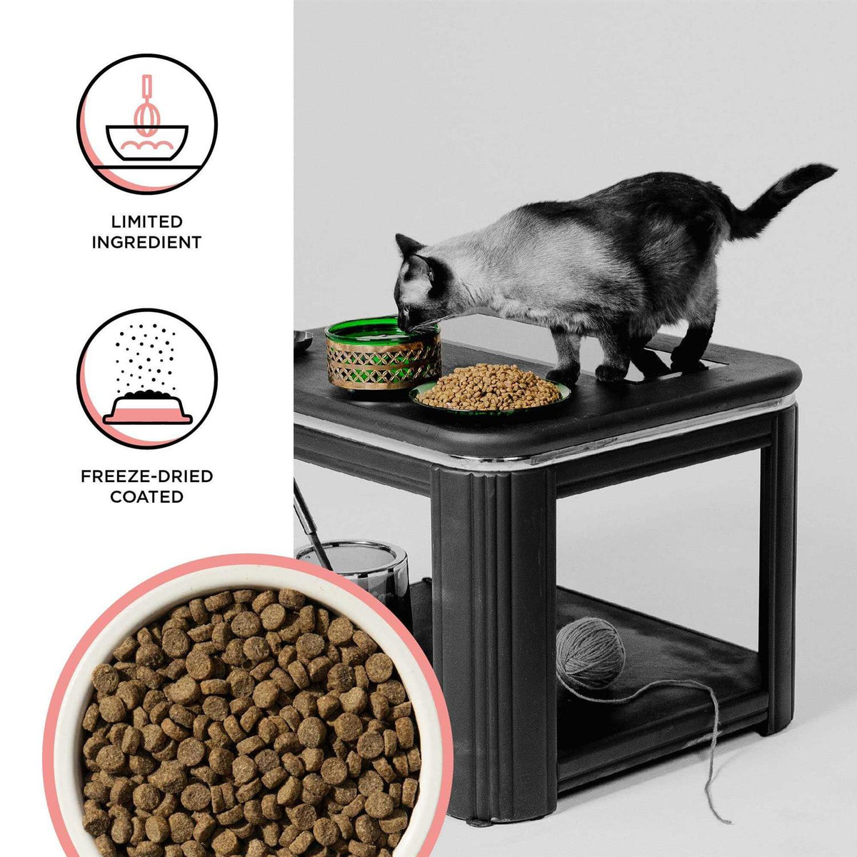 Chicken Recipe Dry Cat Food F684907
