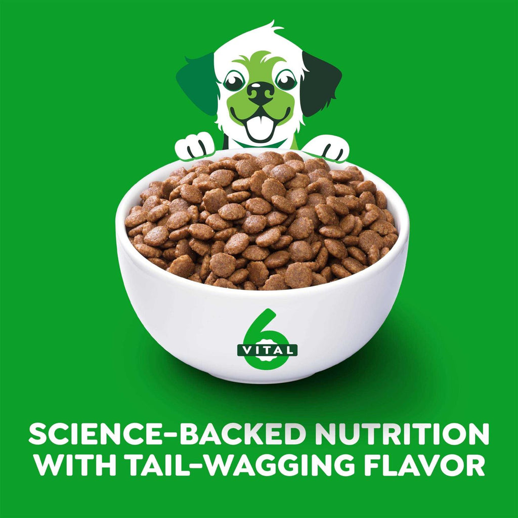 High Protein Real Chicken & Rice Dry Dog Food J57606