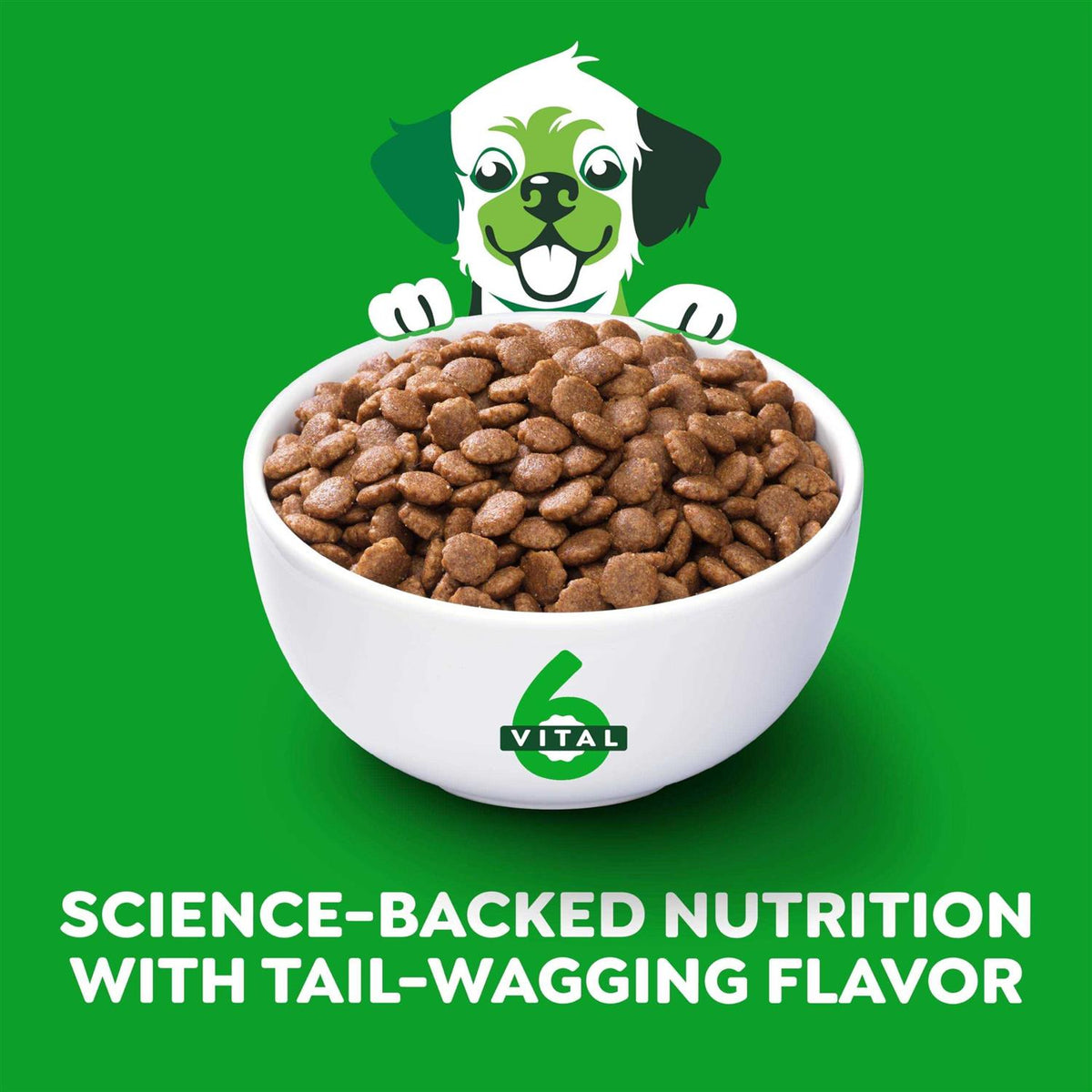 High Protein Real Chicken & Rice Dry Dog Food J57606