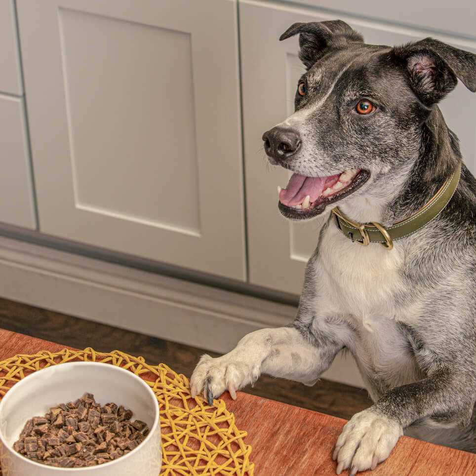 Air Dried Chicken Dog Food U301