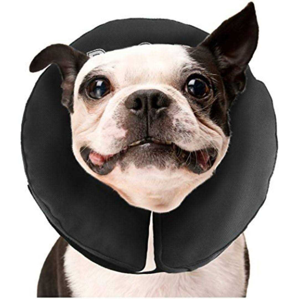 Inflatable Recovery Collar C4461