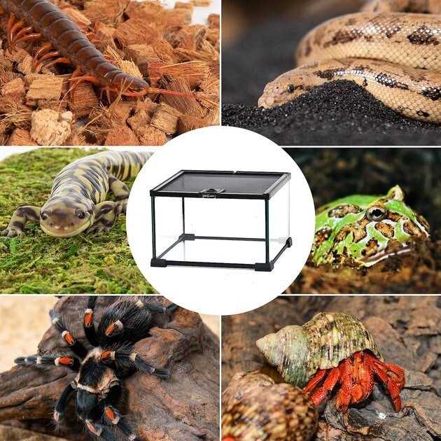 5 Gallon Terrarium H801919