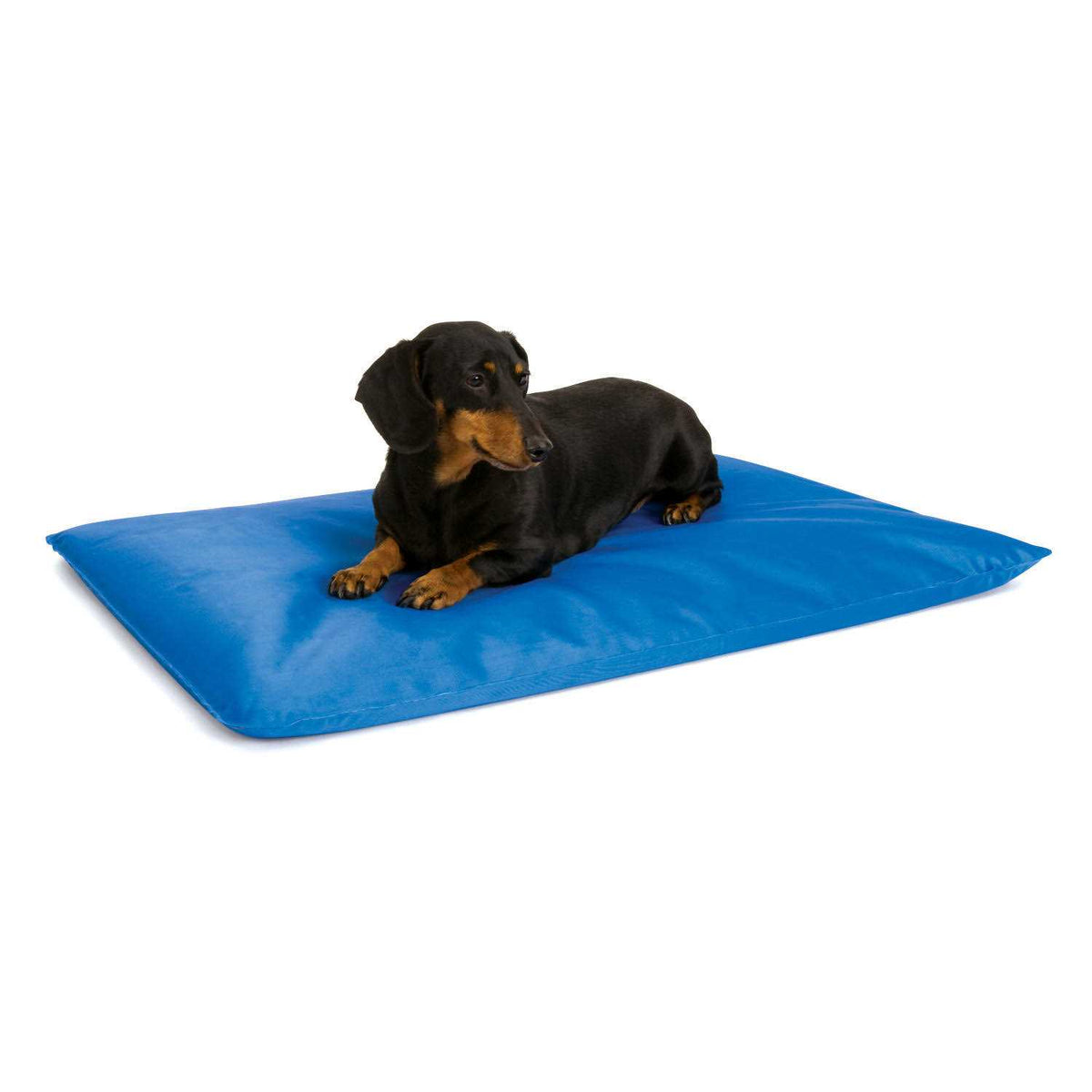 Cool Pet Bed F2140