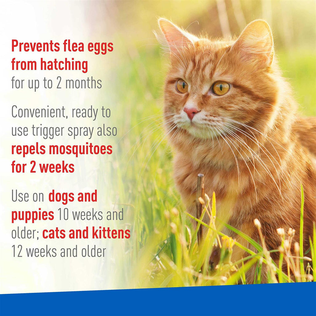 Flea Tick Spray L940104