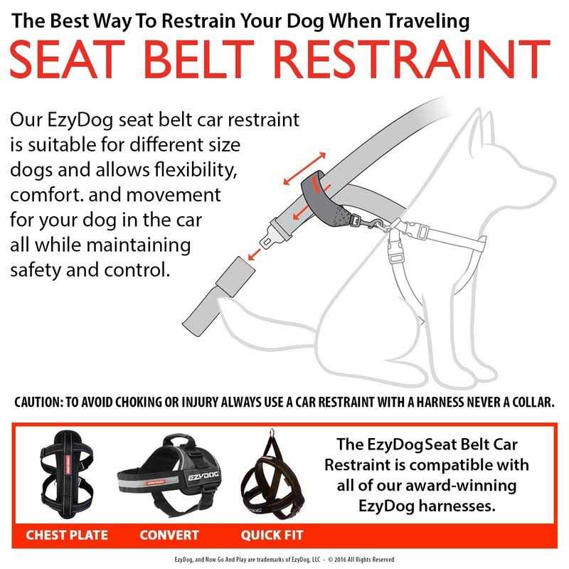Seat Belt Restraint T493