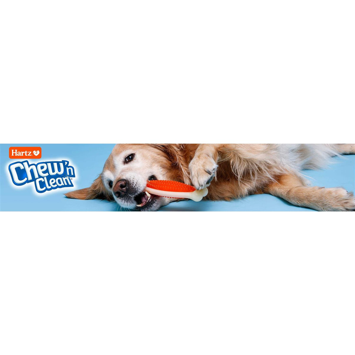 Dog Chew Toy Treat F31701