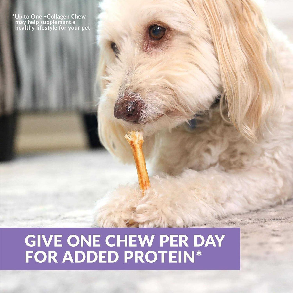 Beef Collagen Sticks Dog Chews Y110687