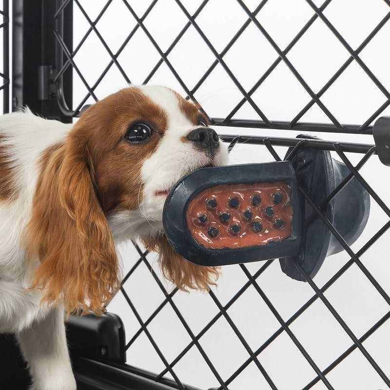 Dog Crate Training Aid P66266